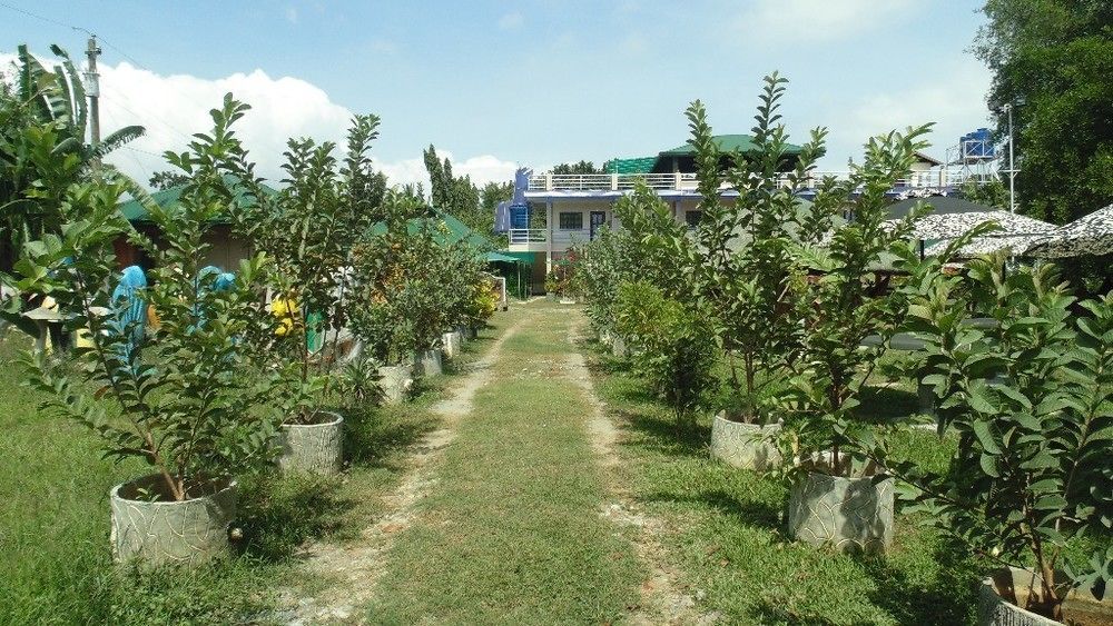 Michelle Pension Puerto Princesa Dış mekan fotoğraf
